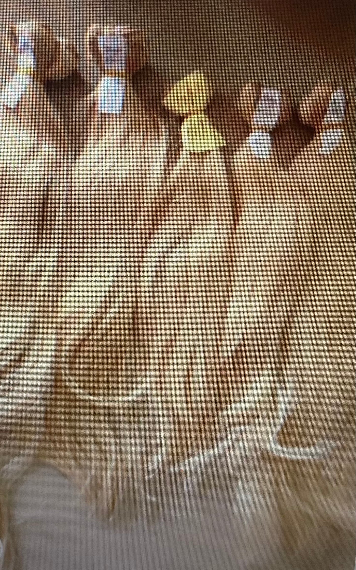 Blonde 613 Wavy Double Weft Tape Ins